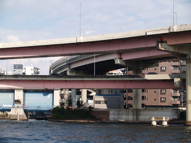 新大橋と両国橋との間の隅田川上には首都高速道路の両国ジャンクションがある。橋梁部分は「両国大橋」と呼ばれる。<br /> 箱崎ICから隅田川右岸を北上してきた首都高速が隅田川を渡り、隅田川左岸をさらに北上する高速6号向島線と東行する高速7号小松川線とに分岐している。したがって、隅田川上に架かる高架橋の上で立体交差した2階建ての高架橋である。人が渡らない自動車専用の高架橋とはいえ、高々200mもない隅田川を何の苦もなく、カーブしながら架かっている。<br /> 赤系の塗装色はかなり退色してしまってはいるが、隅田川上に美しい曲線を描いている。隣に架かる両国橋に対して「両国大橋」と呼ばれている理由が理解できる。<br />(表紙写真は両国ジャンクション(高架橋))