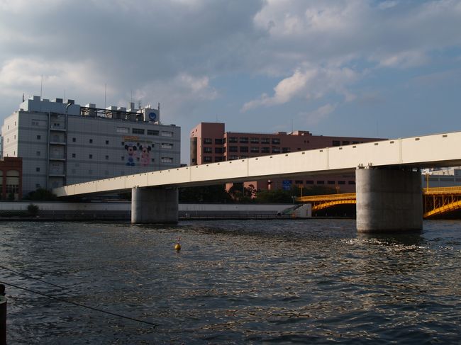 　蔵前専用橋は蔵前橋の少し下流のNTT東日本蔵前通信ビル前と同愛記念病院との間の隅田川に架かる橋である。昭和43年（1968年）3月に竣工した橋長 155.4mの通信線トンネル専用橋で、水道橋も兼ねている。水道橋と呼ばれていないことからも、通信線トンネルを渡すのがメインの橋であることが理解できる。しかし、建造主は東京通信局と東京都水道局である。あるいは、電電公社時代に建造されたために、東京都水道局が譲ったのかも知れない。<br />　平成21年（2009年）には耐震補強工事が行われている。<br />（表紙写真は蔵前専用橋）