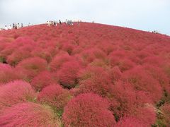 いわき・ひたちなかの旅　後編