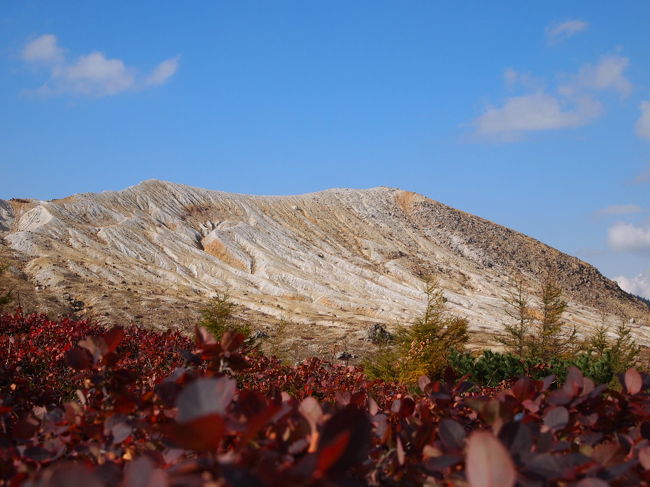 さて2011年も紅葉シーズンがやってきました。<br />例年は京都とかのお寺をめぐる我が家ですが、<br />去年の白馬･八方でお山の紅葉に取り付かれてしまい、<br />今年もお山の紅葉を探しに行ってきました。<br /><br />選んだのは草津白根山と志賀高原。<br />どんな景色に出会えるかな？