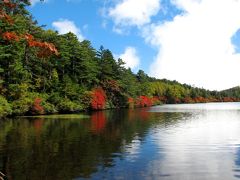 白駒の池の紅葉