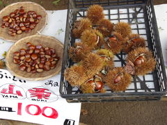 秋の景色　戸隠　～気ままドライブ　野菜・ちょっと紅葉・森の中で夕食～