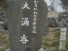 箱根の散策「芦ノ湖周辺」と彫刻の森美術館