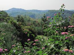 甥っ子姪っ子と和歌山の四季の郷公園へ