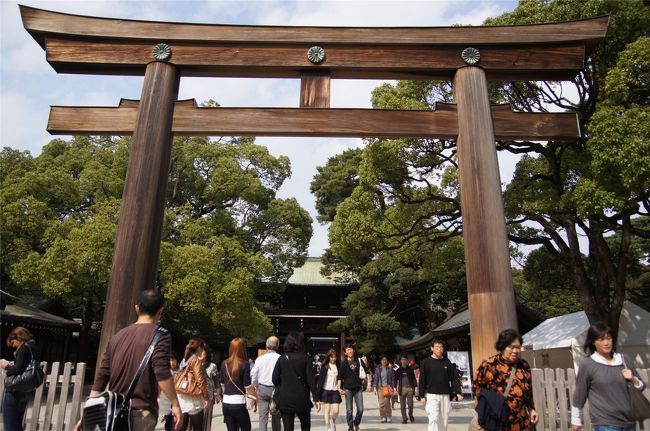 明治神宮を散策後、太田記念美術館及び東郷神社に出向いて来ました。　