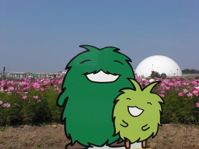 愛・地球博記念公園(モリコロパーク)コスモスが咲いていると聞き、ドライブがてら行ってきました。コスモスも綺麗でしたが、万博のことをつい、思い出してしまいました。