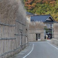 細い竹で囲われた塀が特徴の港町で迎えた朝