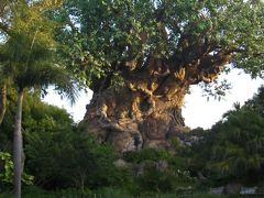 ＷＤＷとＵＳＯで過ごす５泊７日の旅（アニマルキングダム編）