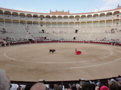 【予告編】初めてのマドリード (イタリア・スペイン・ポルトガル・オランダ 12日間の旅 その5）