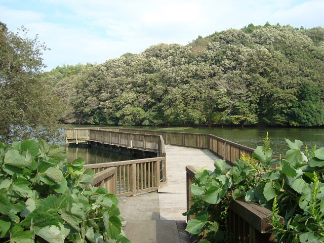 秋を探して 11 1 水郷県民の森編 潮来 茨城県 の旅行記 ブログ By 潮来メジロさん フォートラベル