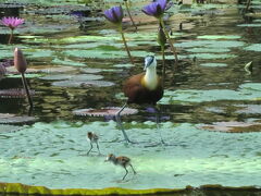 掛川花鳥園