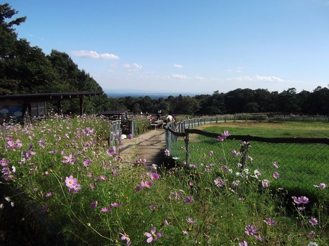 福島県芦ノ牧温泉近くの「塔のへつり」を見学したあと、那須高原まで足を延ばし、9年ぶりに南ヶ丘牧場を訪れました。