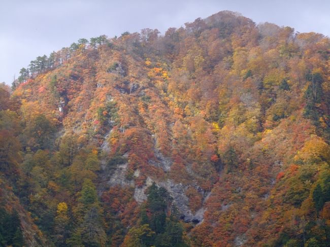 　知る人ぞ知る！？紅葉スポット。<br />この３年間通っているが、徐々に整備されつつある穴場スポット。<br />釣瓶落峠がベールを脱ぐ！？<br />