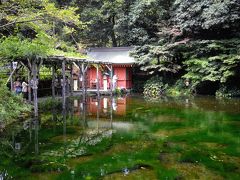 きままな伊豆ドライブ その１４ 最終章 富士宮の焼きそば 帰路 富士宮 静岡県 の旅行記 ブログ By Joecoolさん フォートラベル