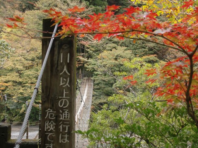 作成中<br />池袋(7:00集合・出発)=○寸又峡散策<br />(天子トンネルから夢の吊り橋、チンダル湖、飛龍橋などを散策/約90分)=接岨峡温泉駅=<大井川鉄道アプトライン/約40分>=奥泉駅=牧ノ原(休憩とお買い物/約20分)<br />10990<br />http://www.hankyu-travel.com/tour/detail_d.php?p_course_id=32844AD&p_hei=10<br /><br /><br />●旅のみどころ●<br />1・奥大井の秘境寸又峡へご案内!<br />観光協会制作の散策MAP付き!(おひとり様1枚)<br /><br /><br />2・長島ダム湖上を走る大井川アプト式鉄道へ乗車!!<br />乗車証明書付き!<br />日本で唯一のアプト式列車。<br />歯型レールを使って日本一の急勾配を登り降りします。<br />雄大な南アルプスの景観をお楽しみください。<br />★今回は接岨峡温泉駅〜奥泉駅間の乗車です。<br />車窓からの絶景はお見逃しなく!!(約40分乗車)<br /><br />3・夢が叶うと言い伝えられる「夢の吊り橋」へご案内!<br /><br />コバルトブルーに映える神秘的な川面と周囲の緑が渓谷美を造り出します。<br />水面にかけられた、長さ約90メートル高さ8メートルの夢の吊り橋は見所たっぷり!<br />(寸又峡ほっとステーション調べ)<br />※例年と異なり前後する場合がございます。<br /><br />4・深く切り込んだ谷が続き、いくつもの滝が落ちる寸又峡を観光!<br /> <br />5・ご昼食は「おにぎり弁当」をご用意いたしました。<br /><br />寸又峡散策<br />http://sumatakyo-spa.com/illust-map/index.html<br />接岨峡温泉駅<br />http://www.oigawa-railway.co.jp/abt_station_11sessokyoonsen.html<br />梅津神楽<br />http://homepage2.nifty.com/akihiron35411/umezukagura.html<br /><br />http://itp.ne.jp/contents/kankonavi/shizuoka/spot/22000069.html<br /><br />大井川鉄道<br /><br />駅の紹介<br />http://www2.jimu.nagoya-u.ac.jp/tetudoken/tablet/99/ikawaeki.html