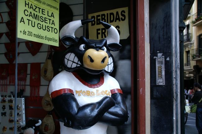 ９日間バスク地方を旅しましたが、今回はその間に宿泊したサン・セバスチャンから日帰りでパン・プローナを訪れた時の報告です。