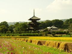 法起寺