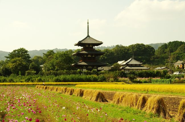 聖徳太子の創建された　7寺の一つで日本で初めて世界遺産に登録された。<br /><br />三重塔は、日本で最古の塔で国宝です