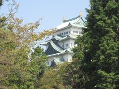 名古屋の観光はやっぱり名古屋城を