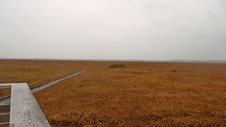 2011.10稚内秋の旅4-宮の台展望台，サロベツ湿原センター草紅葉，オトンルイ風力発電所