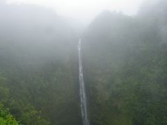 落差約130mの直瀑『アカカ滝（Akaka Falls）』◆“BIG ISLAND”ハワイ島一周の旅≪その１１≫