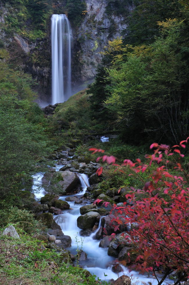 上高地への拠点とした平湯温泉には見所が幾つかあります。そんな一つに「日本の滝百選」にも選ばれている名瀑「平湯大滝」があります。滝は平湯大滝公園の奥に有ります。公園は駐車場も広く綺麗に整備されています。<br />滝周辺も整備されているので安定した足元で滝を見ることが出来ます。毎年2月には平湯大滝氷結祭りが行われて夜はライトアップされるそうです。<br /><br />平湯大滝：落差64ｍ滝幅6ｍ<br />平湯大滝公園：http://www.mjnet.ne.jp/hirayu-ootaki/