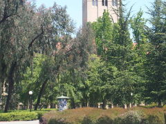 サンフランシスコ近郊の旅ー４　　名門私立大「スタンフォード大学」キャンパス