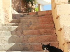 夏休み！ヨルダン旅行記（ペトラ）　2011