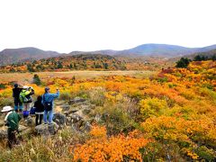 東北の紅葉 in 2011 　５　栗駒