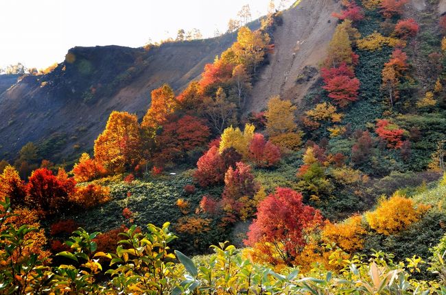 今年も紅葉の季節到来。　　これを見てからで無いと冬を迎えた気になれない私ですが、11〜12月は行かれそうも無いので今年最初で最後の紅葉狩りになりそうです。