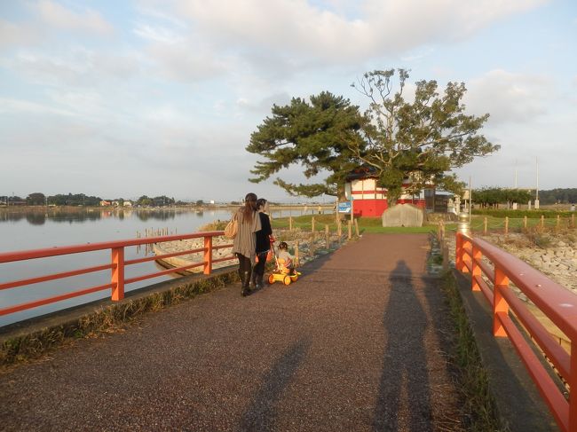 息子夫婦の子、初孫のらーと一緒に過ごす１日。<br />娘と近くの多々良沼弁天様へ。<br />夕方の弁天様は、カメラマン、散歩、ジョギング、釣りと余暇を楽しむ人達で賑わっていました。