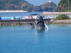 美ら海水族館と今帰仁と