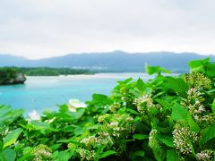 四泊五日で憬れの沖縄へ　　一日目、石垣島　