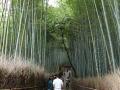 2011.10　京都・嵐山をゆく　～結婚１年記念を祝して～