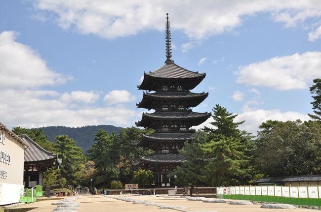 ☆先日、友人から「県立美術館の鑑賞券をゲット」というメールを貰い、昨日の悪天候から回復したので今朝、奈良県立美術館前で午前１０時に待ち合わせ、今開催中の特別展『磯江毅＝グスタボ・イソエ展』を鑑賞し、その後いつも興福寺近くに行く時使う駐車場に車を預けて、特別公開中の興福寺北円堂まで徒歩で行きました。外の風が冷たく感じましたが、陽が射してきたので歩いている内に汗ばみ、上着もいらなくなりました。<br />興福寺北円堂は、藤原不比等の霊を慰めるために元明・元正天皇が長屋王に命じて建てさせた八角円堂です。<br /><br />治承の大火で消失しましたが、1210年（承元4）に再建。運慶一門の傑作とされる、弥勒如来坐像（鎌倉時代・国宝、運慶晩年の代表作）や我が国肖像彫刻の中で最高傑作とされる無著・世親菩薩立像（鎌倉時代・国宝、運慶作）が安置されています。<br /><br />北円堂内を鑑賞後、県庁の６階にある食堂、『奈良県庁互助会食堂』でランチ。<br />ここの食堂は主に県庁職員用として営業していて、初め入っても良いのかな？と思ってしまいがちですが、誰が入っても良いようです。<br />セルフサービスになっていて、入り口にある券売機で食券を買います。<br />今日はランチ定食Ｂ４５０円を、友人は同じくランチ定食のＡを選びました。丁度お昼過ぎに入ったので、県庁職員で混雑していました。窓側の席からは生駒山が見え、眺めも良いです。<br /><br />食後、眼下に興福寺の五重塔が臨め、奈良市内が一望出来る屋上に上がりました。西の方角には生駒山、東の方角には若草山、東大寺大仏殿、東大寺ミュージアムもよく見えます。秋の夕暮れ時、生駒山に沈む夕陽も綺麗かと思います。<br />その後駐車場に戻り、友人とはそこで別れて帰りました。<br /><br />今日見た展覧会の『磯江毅』氏についての略歴（パンフレットより抜粋）<br />★1954年 大阪に生まれる。<br />　1973年 大阪市立工芸高校卒業後、美術研究所アトリエ「リベラ」に　通い、本場で西洋美術を学ぼうとスペイン行きを決定。<br />　1974年シベリア鉄道で渡欧し、スペインに入る。プラド美術館に魅　せられマドリッドに定住する。<br />　1975年プラド美術館で15世紀フランドル派絵画やＡ・デューラー作　品等の模写に没頭。・・・（中略）・・・この間、スペインで数々　の賞を受賞。<br />　1991年「スペイン美術はいまーマドリッド・リアリズムの輝き」展 （日本・高島屋４会場）にスペイン作家１７人の内の一人として参加。ＮＨＫ「日曜美術館」出演。<br />　1998年東京芸術大学非常勤講師に就任。<br />　2000年広島市立大学芸術学部非常勤講師。（05年に教授）<br />　2002年発病を知る。「写実・レアリスム絵画の現在」（奈良県立美　術館）展参加。<br />　2007年西宮市の病院で逝去。享年53才。<br /><br /><br />