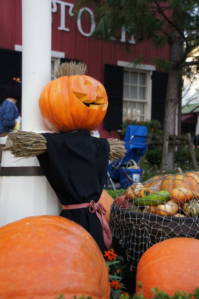 １０周年のお祝いムード満点のディズニーシーです。<br />だからなのか・・・ハロウィンカラーは思ったより少なかった。<br /><br />NO.２は水上ショーも載せてあります！<br />またまた写真満載ですので、よろしくお付き合い下さい。<br /><br />*ショーの開演時間は日ごとに違いますので、運営カレンダーでチェックして下さい。<br />　　<br />　　　　↓運営カレンダーサイト<br />http://www.tokyodisneyresort.co.jp/tdr/schedule/tds_show/st20111103.html