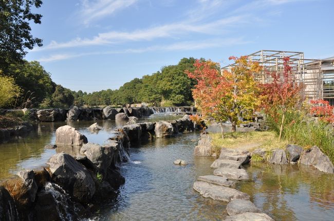 今日の午前、京都府相楽郡精華町にある「けいはんな記念公園」（正式名称：京都府立関西文化学術研究都市記念公園と言います。）まで出かけてみました。この公園は関西文化学術研究都市（けいはんな学研都市）建設を記念し、また平安京遷都1200年を記念事業の一つとして、平成7年（1995年）4月に開園しました。<br /><br />京都と言っても京都府精華町は奈良市との県境で繋がっていて、奈良市内の自宅から車で約１０分余りの所。近くには国立国会図書館、京阪奈学術都市、京阪奈プラザホテル、アピタタウン（ユニーが運営するショッピングセンター）などもあり、道幅も広く、整備されていて自然が多く環境も良い場所です。隣にはホームセンター「コーナン」があります。<br />中に入ると広場では大勢の幼稚園児たちが保護者と一緒に遊んでいました。広場にはブランコや滑り台など子どもが自由に遊べるようになっています。ハンパない広さ（約2.6ha）のこの公園内にある『水景園』は京阪奈学研都市の紅葉の名所です。そんな場所へ今日初めて行きました。公園は誰でも無料では入れますが、中にある『水景園』へ入るには一般２００円、小中学生１００円がかかります。（ただし、京都府の植物園は何処も６０才以上は年齢を証明出来る物さえあれば無料）<br />入り口付近の広場を抜け、小川に沿って暫く歩くと竹林があります。更に進むと休憩用のベンチとトイレがあり、更に奥へと進むと管理事務所があり料金はここで支払います。事務所横の道から木々の間を抜け進むと広い池が見えてきます。<br /><br />滝のように段差を造り素晴らしい景観が眼前に迫ります。沢山の木々が茂る森、観月橋、滝と紅葉する楓、あちこちにある彫刻、池に突き出たベンチも完備された休憩所・・・。何故もっと早くここへ来なかったのかと悔やまれました。<br /><br />池には飛び石があり向こう岸へと行くことが出来ます。たどり着いたところには研修も出来るような広い建物があり中にトイレと休憩所もありました。池の周りの道を進むと滝があり、石段を登って行くと観月橋に行きます。観月橋からは池とその周辺が一望出来、橋を渡り終えると踊り場には石彫が飾られています。<br /><br />階段を下りかける時にもあちこちにある彫刻に気付きました。<br />下の池には大きな錦鯉など鯉が沢山泳いでいます。設けられた日陰のベンチで静かに読書しておられるご婦人が居ました。<br /><br />季候の良いとき、お弁当持ちで１日ゆっくり時間を過ごすにはとても良いところでした。更に芽吹きの森の方へ行く道もありましたが、先へ行くとかなり時間がかかりそうだったので、来た道を引き返しました。<br />時間があるとき１日ゆっくり陽の移り変わりを感じながら過ごしたいところです。<br /><br /><br /><br /><br />