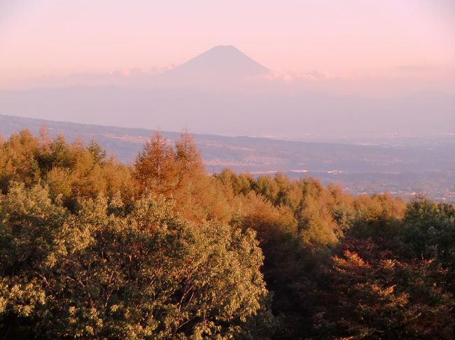 カラマツの黄葉を見たくてダイヤモンド八ヶ岳美術館ソサエティに３連泊（１人旅）してきた。例年10月下旬ともなると八ヶ岳南麓のカラマツが黄金色に染まるのであるが今年は鮮やかさがない。くすんだ茶色のまま葉が落ちていく。（メンバー用の無料宿泊券３枚利用）<br /><br />写真：「ダイヤモンド八ヶ岳美術館ソサエティ」展望塔より見た夕暮れの富士山<br /><br />私のホームページ『第二の人生を豊かに―ライター舟橋栄二のホームページ―』に旅行記多数あり。<br />http://www.e-funahashi.jp/<br /><br />