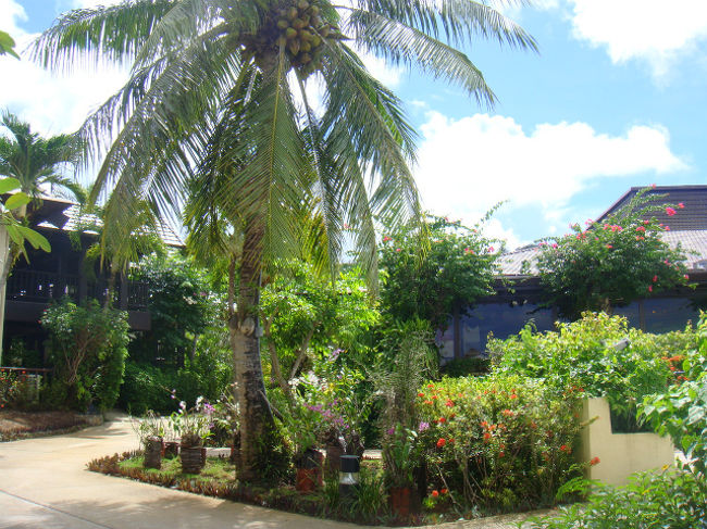 「南国へ行きたいね。サイパンの海きれいだったよね」と、<br />南国補充に友人とサイパンへ。<br /><br />深夜発、朝帰国の３泊４日。<br />現地滞在時間はたった５０時間ほどなのに、<br />計画もたてず、行き当たりばったりの旅＾＾<br />