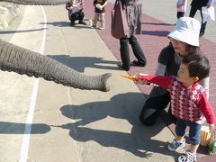 子連れで行く白浜＆関空～AWSと湯快リゾート千畳～