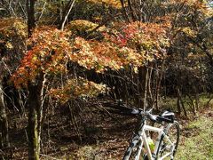 自転車でウロウロ…２０１１．１０．２７=富士山南麓を回って来ました③～紅葉編～=