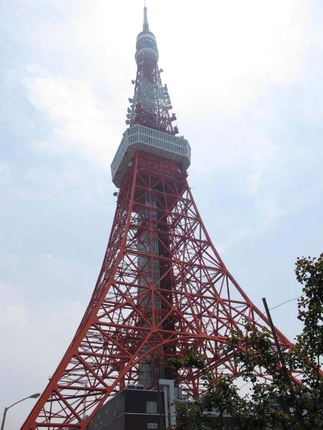 東京の下町を中心に久しぶりに色々でかけてみました。<br />まずは浅草界隈から攻め、浅草寺など定番の町歩きを楽しんだ後、浜松町駅まで移動して、東京タワーや増上寺などをめぐりました。<br />東京タワーからのながめは最高でなかなか良かったです。<br />ガラス張りの床も怖かったですね。<br /><br />そのあとは隅田川をクルージングしてお台場のほうまで行きました。<br />夜景が綺麗でよかったです。<br />ちょっと風が涼しくて寒かったですが・・・。<br /><br />翌日は両国界隈を散策し、国技館や東京博物館などをめぐってきました。<br />また下町の待ち歩きもして楽しい東京観光になりました。<br />