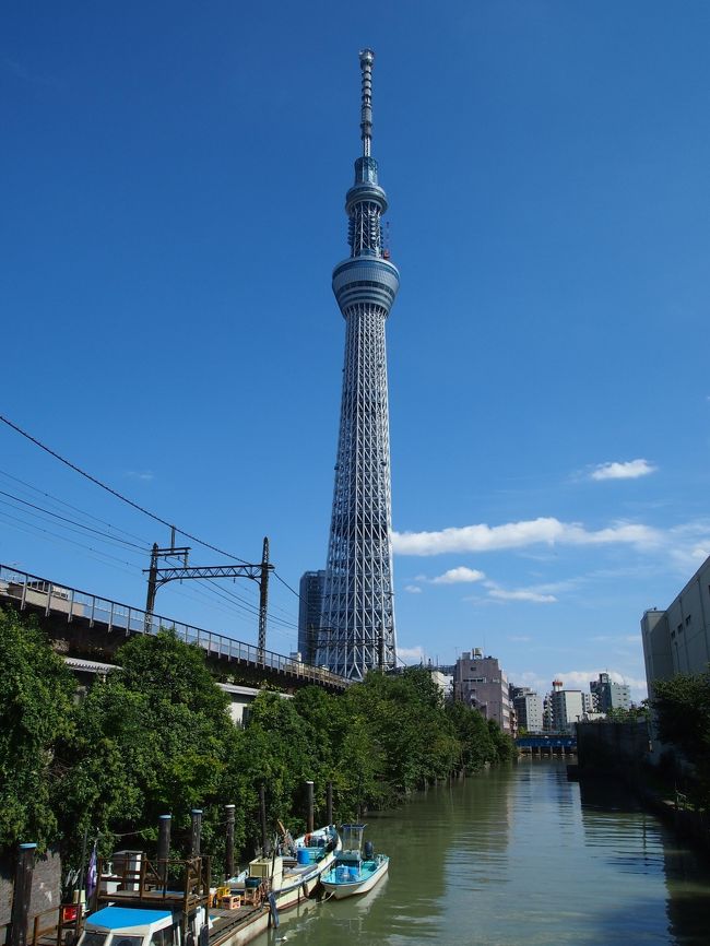 日帰りの旅（2011/9/24）。<br /><br />秋晴れの休日。<br />街歩きをするにもだんだんよい季節になってきました。<br /><br />今日は、東京下町の向島から業平橋までをゆっくりと散歩しながら、博物館・庭園・寺社そして東京スカイツリーと、ジャンルも時代も異なるバラエティに富んだスポットをまわってゆくことに…。<br /><br />こうやって歩いてみると、東京も面白いなあということを再認識した旅でした。<br /><br />〔今日の行程〕<br />・京成曳舟駅～東武博物館～向島百花園～隅田川七福神めぐり～牛嶋神社～東京スカイツリー～京成押上駅<br /><br />〔江戸東京まちなか散歩【２】～春の浜離宮恩賜庭園と築地・月島・佃島まで～〕<br />http://4travel.jp/traveler/akaitsubasa/album/10657256/<br />〔江戸東京まちなか散歩【番外編】～2012 六義園「しだれ桜と大名庭園のライトアップ」～〕<br />http://4travel.jp/traveler/akaitsubasa/album/10658872/