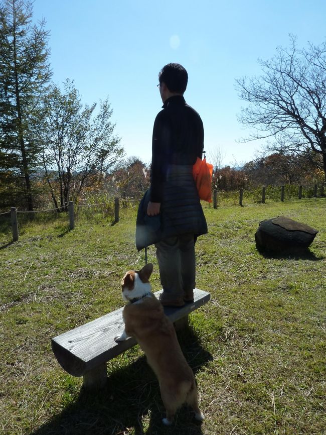 天気が良さそうなので、愛犬も一緒に「山の駅たかはら」からハイキングに行ってきました。<br /><br />ビジターセンターで地図をいただき、八方牧場を歩くことにしました。<br />２時間くらいのコースです。<br /><br />牧場の向こうに八方湖があります。