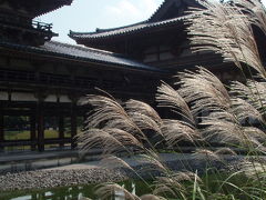 平等院鳳凰堂 （京都府・宇治市）