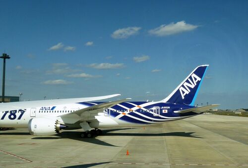 Phoenix 1/200 B787-8 N787BA 取り合わ ドリームライナーデモ機 Phoenix 1/200 B787-8 N787BA 取り合わ ドリームライナーデモ機