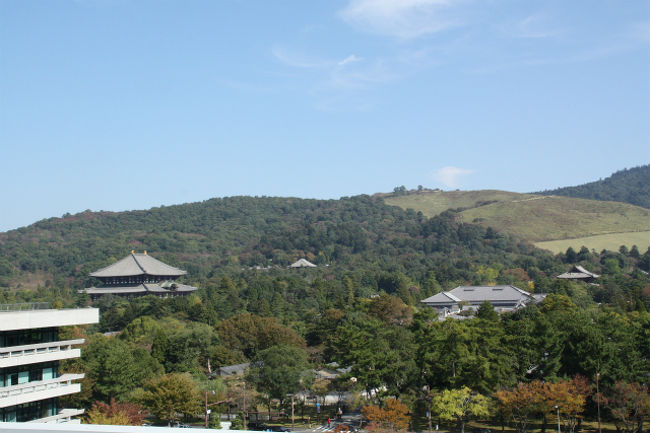 最近運動不足気味なので、少し早すぎるかなとは思ったのですが、紅葉を求めて奈良を歩くことにしました。<br />何処がいいか見当をつけるために奈良県庁の屋上に登ってみました。<br />奈良県庁の屋上は10月11月は土日も開放されているのです。四方が見渡せますし、ベンチもあります。ベンチに座って弁当を食べている人や絵を描いている人もいました。<br />あまり知られていないのか、来る人も多くはありません。一度登って見られてはいかがですか。<br />登ってみたのはいいけれどやはり紅葉には少し早いようです。大仏池に行けば何とかなるかと東大寺周辺を歩いてみることにしました。