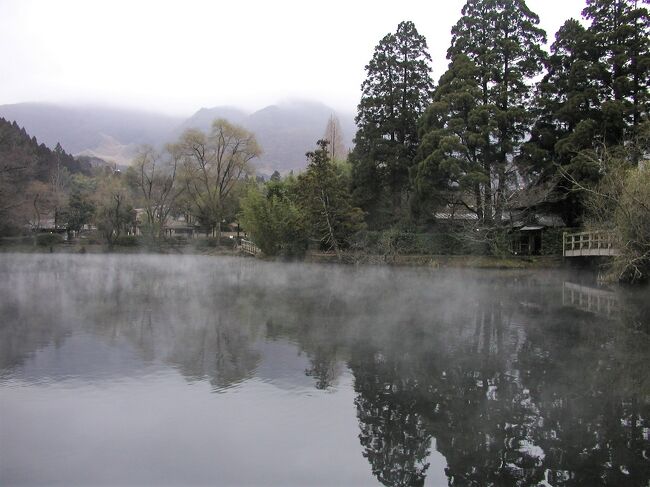 由布院・山荘無量塔の旅行記(ブログ)。<br />http://www.sansou-murata.com/<br /><br /> 無量塔を訪れたのは3度目。今回は「昭和」、前回は「明治の別荘」、そして前々回は「吉」に泊まった(友人が宿泊した「袍」についても追記している)。<br /><br />2020年,4回目の山荘無量塔宿泊記は下記のURLから。<br />https://4travel.jp/travelogue/11612342<br /><br /> 「昭和の別荘」は、別府の民家を移築したものである。古い民家ではあるが、よく手入れされていてとても気持ちがよい。エアコンもよく効く。トイレはシャワートイレに自動洗浄機能付きの小便器も備えている。玄関を入ると、右側に梁の見えるリビング+キッチンがあり、左側は広縁の付いた二間続きの和室になっている。そして中庭に面して茶室があり、中庭を二方から囲むように採光の良い廊下がめぐらされている。廊下の一番奥に浴室と洗面所が、その手前には2ベッドの寝室がある。 <br /><br /> 平屋で43坪、143平方メートルあるそうだ。とても開放的な造りで、もう少し涼しい時期であったなら、風通しの良い日本家屋の良さを味わえたことだろう。部屋は、以前に泊まった時の客の嗜好を十分に踏まえながら、入念に準備されていることが窺える。敢えて難点を探すとすれば、浴室のシャワーの水圧が若干低いことぐらいか。 <br /><br /> 客室のアメニティはMARKS & WEB、バスタオルはひとり2枚ずつ。夕食の間に、使った分は取り替えてくれる。作務衣と浴衣が用意されていて、食事処やバーには、どちらを着て行っても構わない。冷蔵庫内の各種のソフトドリンクとビールは無料。夕食時のビールも中瓶650円と、良心的なプライシングである。 <br /><br /> 特筆すべきはバー(Tan's Bar)。夜は宿泊客専用となり、雰囲気が良いのは勿論なのだが、とにかく安い。普通のブランデーならショットで400円、マーテル・コルドン・ブルーが800円、バランタイン30年!が2000円。同じものを都心の高級ホテルのバーで頼んだら…と考えると、飲まなきゃ損!というぐらいの値段である。宿泊料金自体は決して安くはない旅館だが、冷蔵庫の缶ビールで千円取るような、どこぞのホテルと比べたら、無量塔の営業姿勢は敬服に値する。 <br /><br /> 夕食は、懐石風に仕立ててはあるが、地のものの良さを存分に引き出した洗練された田舎料理である。今回いただいた夕餉では、前菜に地鶏(冠鶏)の燻製が、煮物には黒豚の唐黍(とうきび=トウモロコシ)鍋が、変り鉢として和牛ロース諸味焼きが供された。肉だけでも3種類。黒豚の唐黍鍋は、トウモロコシをすりつぶして味噌のように使ってあるのだろうか、とても珍しく、また、長茄子・ささがきごぼう・冬瓜などの野菜と黒豚とのマッチングが絶妙である。和牛ロース諸味焼きは、山荘無量塔の定番的な料理で、文句なく旨い。これに更に、海のもの、川のものが加わる。鱧のお椀、関魚や川海老、鰻を使った向附、地蟹の茶碗蒸し(向附の後の御凌ぎ)、鱸の香草ステーキ(焼物)などである。桃のおいしいこの時期、デザートは桃のアイスだった。そして、悠佑の誕生日のお祝いにと、各種のフルーツをあしらった可愛らしいケーキまで用意してくださった。 <br /><br /> 付かず離れず、それでいてとてもフレンドリーな仲居さんのサービスも完璧である。料理の説明にもぬかりはない。普段から布団で寝ているため、ベッドルームは使わず、和室に布団を敷いてもらったが、「夕食中に布団を用意させていただきますので、お部屋の鍵を預からせていただきます」とちゃんと断りを入れる。さらには、食事の後バーを利用する客だと心得ているのであろう、「どの席でもお好きな席がございましたら、予約をしておきます」とも。朝も、「もし布団をあげたほうがよろしければ、朝食中に…」と訊いてくる。当たり前のこととは言え、取ってつけたようではなく、それがごく自然にできる、簡単なようで、とても難しいことだと思う。 <br /><br /> 朝食(悠佑は洋食を選択した)のあとは、11時のチェックアウトまで二度寝して、女将さんの満面の笑みに見送られて、臼杵の「料亭山田屋」に向かった。東京の支店は、ミシュランの星をもらっている。法的には禁止されているのだが、ここ臼杵では慣習として、丁寧に毒抜きされたフグの肝を味わうことができる(東京店では供されない)。てっさも、ポン酢に、たっぷりのフグ肝を溶かして食べる。とても濃厚な味わいで、一度食べると肝がないと物足りなくなってしまうかもしれない。帰りに、大分空港の「鮨海甲」で、関アジ、地物のウニなどを味わうのも、大分を訪れる楽しみのひとつである。山田屋さんでフグのコースを食べてからそれほど時間は経っていなかったが、ほんのりカボスの香る城下カレイのにぎりを、1貫だけで我慢することはとてもできなかった。 <br /><br /> あぁ、大分って、なんて旨いものが多いんだろう!<br /><br />(表紙写真は,朝靄の由布院・金鱗湖,2009年2月23日撮影)