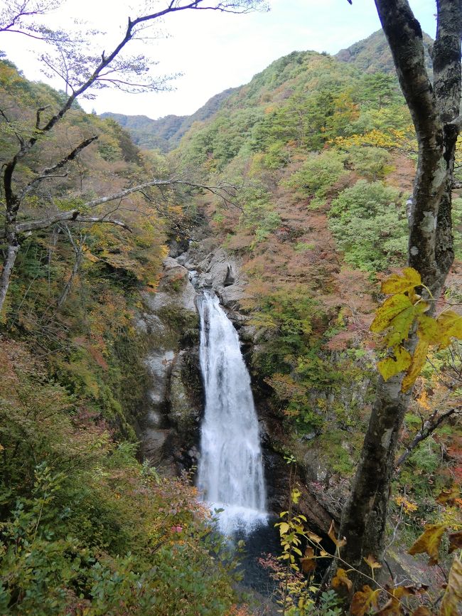 仙台、秋保温泉とも何度も訪れていますが、震災後初めてでした。仙台の「青葉城跡」へ行く途中の道の石垣が崩れ、修復中ということでう回路を回りました。駐車場は一時間４００円。伊達正宗像は大丈夫だったようですが、羽を広げた鷲の像は無残にも落ちて壊れたままでした。お土産やの上にある「青葉城資料展示館」ではCGを使って再現された青葉城が見れます。７００円ですが、「青葉城本丸会館」というホームページで２００円の割引券が印刷できます。とても見ごたえがあって面白いです。秋保温泉では「ホテルニュー水戸屋」に宿泊しましたが、お風呂は最高でした。空間を贅沢に使い、露天風呂も趣向が凝らされ今までで一番いいお風呂だと思いました。ただ残念だったのは夕食が冷めた感じがしたものがいくつかあったこと。秋保温泉から車で約２０分のところにある「秋保大滝」も必見です。