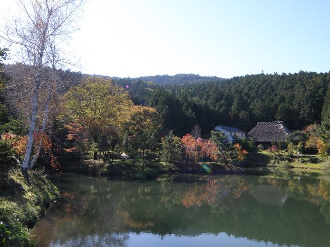 秋の剣山を日の出から訪ね歩き紅葉を楽しんできました、中尾山高原キャンプ場。
